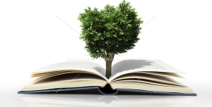 عکس با کیفیت رشد نمادین درخت از کتاب جهت تبلیغ فرهنگی مطالعه و کتابخوانی با زمینه سفید