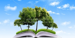 عکس با کیفیت رشد نمادین جنگل از کتاب جهت تبلیغ فرهنگی مطالعه و کتابخوانی و آسمان آبی و ابری