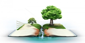 عکس با کیفیت طبیعت سبز زیبا شامل درختان و رود در کتاب باز
