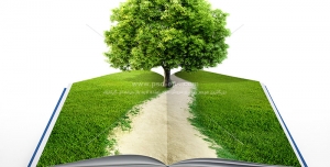 عکس با کیفیت طبیعت با تک درخت بر روی کتاب جهت تبلیغات فرهنگی مطالعه و کتابخوانی یا دانلو عکس با کیفیت کتاب باز با تک درخت سبز در انتهای مسیری خاکی در بین چمنزار