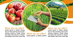 تراکت و پوستر لایه باز کشاورزی مکانیزه + PSD با تصاویر مزرعه و گندم زار و سیب های سرخ با زمینه سفید و سبز و نارنجی