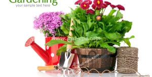 عکس با کیفیت گلدان گل و آبپاش گل کاری شده به همراه لوازم باغبانی