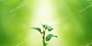 عکس با کیفیت گیاه کوچک کاشته شده در خاک زیر تابش پرتوهای نور خورشید با زمینه سبز روشن و زیبا