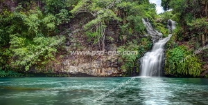 عکس با کیفیت جنگل زیبای استوایی و کوه های پر از بوته و درخت با آبشاری از میان آن