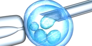 عکس با کیفیت لقاح مصنوعی (IVF/میکرواینجکشن) برای باردار شدن
