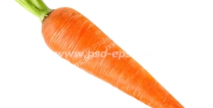 عکس با کیفیت هویج نارنجی رنگ مناسب فروشگاه های میوه و سبزیجات