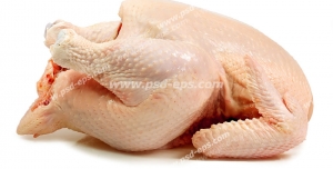 عکس با کیفیت گوشت مرغ کامل خام بر روی زمینه سفید