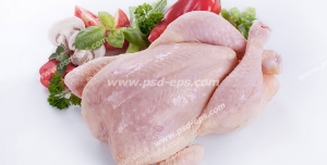 عکس با کیفیت گوشت مرغ کامل خام تزئین شده با فلفل دلمه ، سبزی ، کرفس و گوجه بر روی زمینه سفید