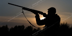 عکس با کیفیت شکارچی با تفنگ شکاری در دست در حال آماده سازی برای شکار پرنده در هنگام طلوع آفتاب