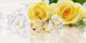 عکس با کیفیت حلقه های طلا در کنار گل های بزرگ رز