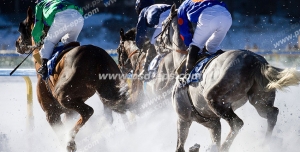 عکس با کیفیت مسابقات اسب سواری با چند اسب و سوارهایشان در حال مسابقه
