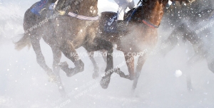 عکس با کیفیت دو اسب سوار در حال مسابقه با یکدیگر در زمین پر از برف