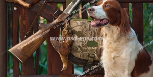 عکس با کیفیت کیف ، تفنگ و وسایل شکار در کنار حصار چوبی و سگ آموزش دیده شکاری