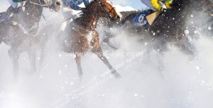 عکس با کیفیت سه اسب سوار در حال سبقت گرفتن از یکدیگر در مسابقه اسب سواری