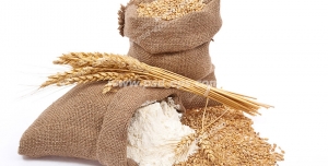 عکس با کیفیت کیسه ای از آرد گندم و دانه های گندم ریخته شده به همراه چند خوشه گندم
