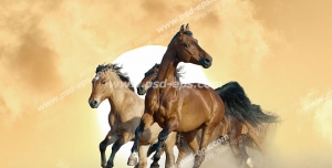 عکس با کیفیت سه عدد اسب قهوه ای در حال تاخت رفتن و زمینه گرد و خاک و طوفان در بیابان