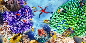 عکس با کیفیت مرجان های قیطانی سبز و بنفش رنگ در کف دریا با ماهی های رنگارنگ در اطراف آنها مناسب آسمان مجازی آکواریوم