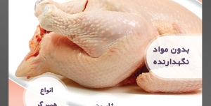طرح لایه باز تراکت فروشگاه مواد پروتئینی گوشت مرغ با محوریت تصویر مرغ پاک شده بزرگ