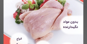 طرح لایه باز تراکت فروشگاه مواد پروتئینی گوشت مرغ با محوریت تصویر مرغ پاک شده با سبزیجات