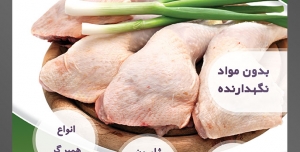 طرح لایه باز تراکت فروشگاه مواد پروتئینی گوشت مرغ با محوریت تصویر مرغ پاک شده همراه با پیازچه