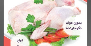 طرح لایه باز تراکت فروشگاه مواد پروتئینی گوشت مرغ با محوریت تصویر مرغ پاک شده همراه با گرجه و سبزیجات