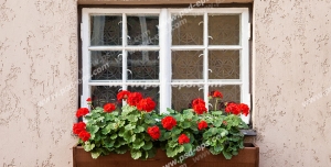 عکس با کیفیت تبلیغاتی پنجره زیبا تزئین شده با گلدان چوبی