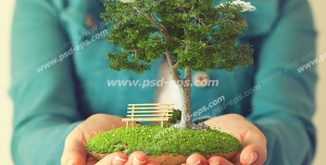 عکس با کیفیت تبلیغاتی تکه ای از زمین با درخت و یک نیمکت زیر آن در دست مرد