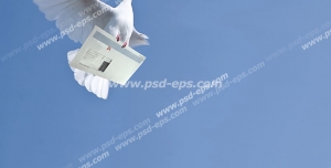 عکس با کیفیت تبلیغات پرنده در حال آوردن نامه