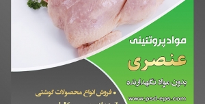 طرح لایه باز تراکت فروشگاه مواد پروتئینی گوشت مرغ با محوریت تصویر مرغ پاک شده در کنار سبزیجات