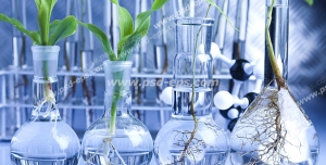 عکس با کیفیت تبلیغاتی چند گیاه در بالن های آزمایشگاهی