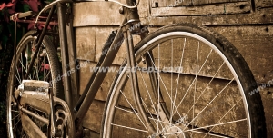 عکس با کیفیت تبلیغات دوچرخه قدیمی در کنار کلبه چوبی