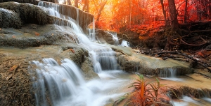 عکس با کیفیت تبلیغاتی آبشار زیبا در جنگل پاییزی