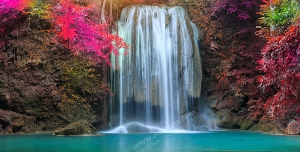 عکس با کیفیت تبلیغاتی گل های ارغوانی در کنار آبشار زیبا