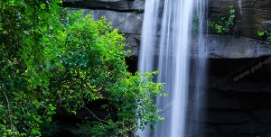 عکس با کیفیت تبلیغاتی آبشار در طبیعت سرسبز
