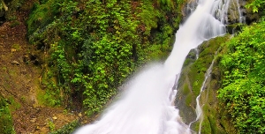 عکس با کیفیت تبلیغاتی آبشار از کوه و دل جنگل