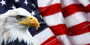عکس با کیفیت تبلیغات عقاب در کنار پرچم آمریکا