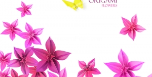 عکس با کیفیت تبلیغاتی گل های صورتی و پروانه زرد کوچک
