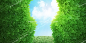 عکس با کیفیت تبلیغاتی سوراخ قفل تشکیل شده از گیاه