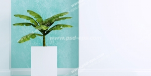 عکس با کیفیت تبلیغاتی گلدان سفید چینی با بک گراند آبی سفید