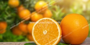 عکس با کیفیت تبلیغاتی پرتقال نصف شده در باغ سرسبز پرتقال