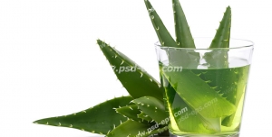 عکس با کیفیت تبلیغاتی یک لیوان نوشیدنی آلوورا در کنار گیاه آلوورا