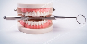 عکس با کیفیت تبلیغاتی آناتومی دهان و دندان و آینه دهان در بین دندان ها