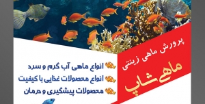طرح آماده لایه باز پوستر یا تراکت پرورش ماهی های زینتی با محتوا تصویر ماهی آبی با خط های زرد در کنار ماهی های کوچک به رنگ قرمز