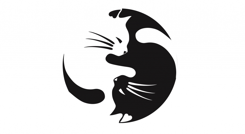 گربه سیاه و سفید